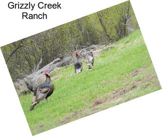 Grizzly Creek Ranch