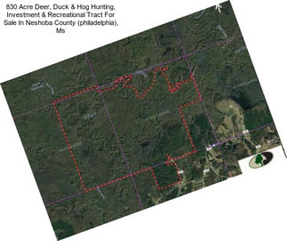 830 Acre Deer, Duck & Hog Hunting, Investment & Recreational Tract For Sale In Neshoba County (philadelphia), Ms