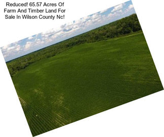 Reduced! 65.57 Acres Of Farm And Timber Land For Sale In Wilson County Nc!