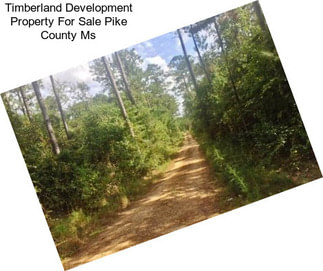 Timberland Development Property For Sale Pike County Ms