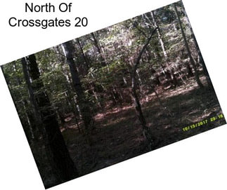 North Of Crossgates 20