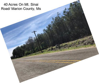 40 Acres On Mt. Sinai Road/ Marion County, Ms