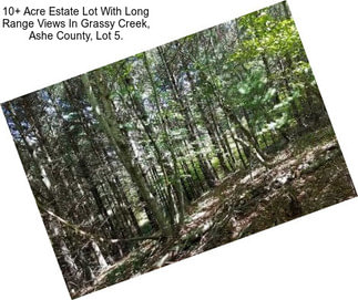 10+ Acre Estate Lot With Long Range Views In Grassy Creek, Ashe County, Lot 5.