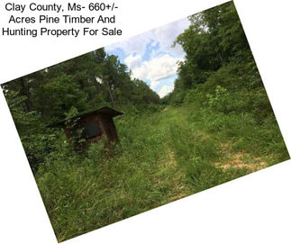 Clay County, Ms- 660+/- Acres Pine Timber And Hunting Property For Sale