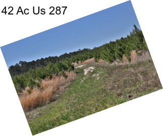 42 Ac Us 287