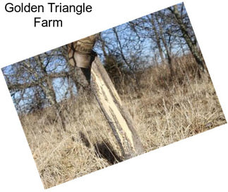 Golden Triangle Farm