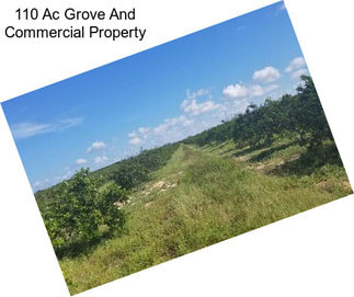 110 Ac Grove And Commercial Property