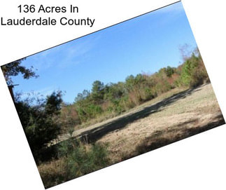 136 Acres In Lauderdale County