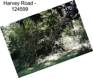 Harvey Road - 124599