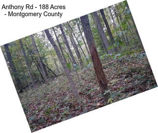 Anthony Rd - 188 Acres - Montgomery County