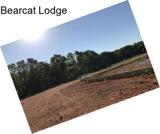 Bearcat Lodge