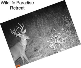 Wildlife Paradise Retreat