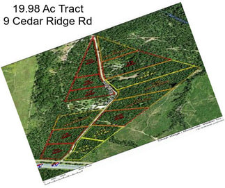 19.98 Ac Tract 9 Cedar Ridge Rd