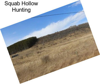 Squab Hollow Hunting