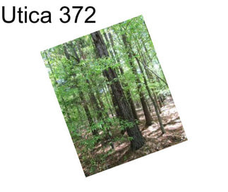 Utica 372