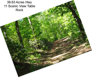 39.63 Acres Hwy 11 Scenic View Table Rock