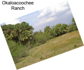 Okaloacoochee Ranch