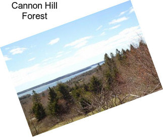 Cannon Hill Forest