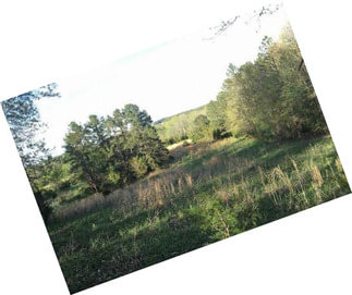175+- Acres W/ Home. (fenced, Crossed-fenced, Pasture Ground With Many Recreational Opportunities Including Outstanding Hunting.)
Close To Searcy, Arkansas.