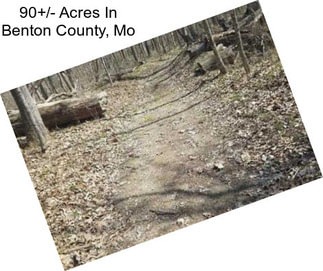 90+/- Acres In Benton County, Mo