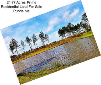 24.77 Acres Prime Residential Land For Sale Purvis Ms