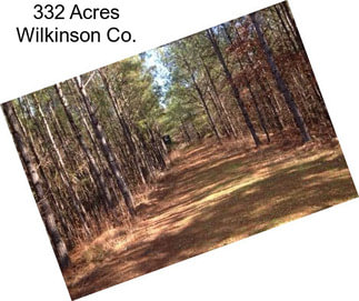 332 Acres Wilkinson Co.