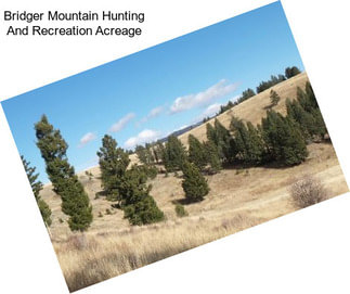 Bridger Mountain Hunting And Recreation Acreage