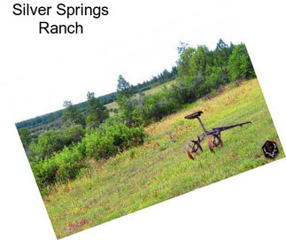 Silver Springs Ranch