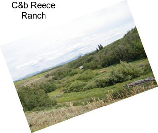 C&b Reece Ranch