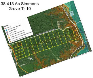 38.413 Ac Simmons Grove Tr 10