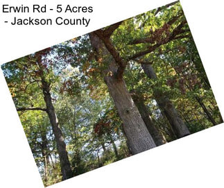 Erwin Rd - 5 Acres - Jackson County