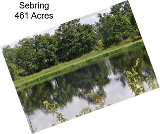 Sebring 461 Acres