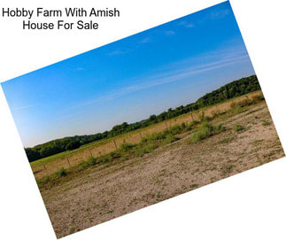 Hobby Farm With Amish House For Sale