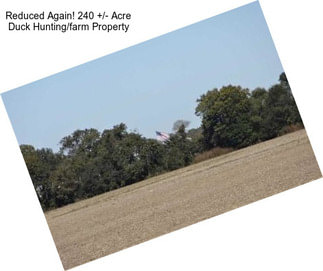 Reduced Again! 240 +/- Acre Duck Hunting/farm Property