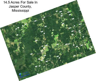 14.5 Acres For Sale In Jasper County, Mississippi