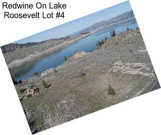 Redwine On Lake Roosevelt Lot #4