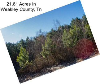 21.81 Acres In Weakley County, Tn