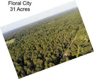 Floral City 31 Acres