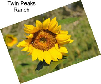 Twin Peaks Ranch