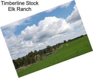 Timberline Stock Elk Ranch
