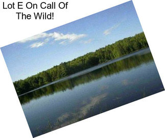 Lot E On Call Of The Wild!