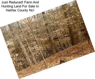 Just Reduced! Farm And Hunting Land For Sale In Halifax County Nc!