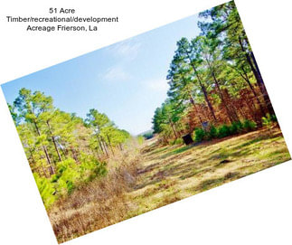 51 Acre Timber/recreational/development Acreage Frierson, La