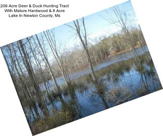 206 Acre Deer & Duck Hunting Tract With Mature Hardwood & 8 Acre Lake In Newton County, Ms