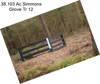 38.103 Ac Simmons Grove Tr 12