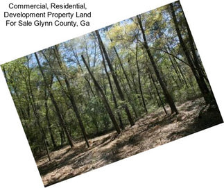 Commercial, Residential, Development Property Land For Sale Glynn County, Ga