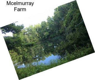 Mcelmurray Farm