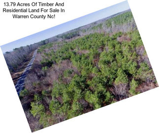 13.79 Acres Of Timber And Residential Land For Sale In Warren County Nc!