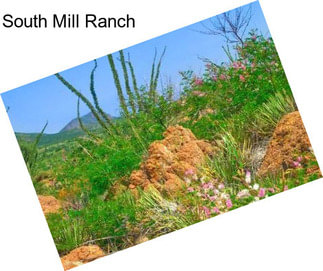 South Mill Ranch