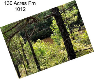 130 Acres Fm 1012